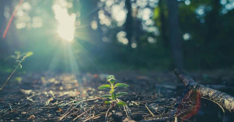 Was bleibt, wenn nichts fehlt?